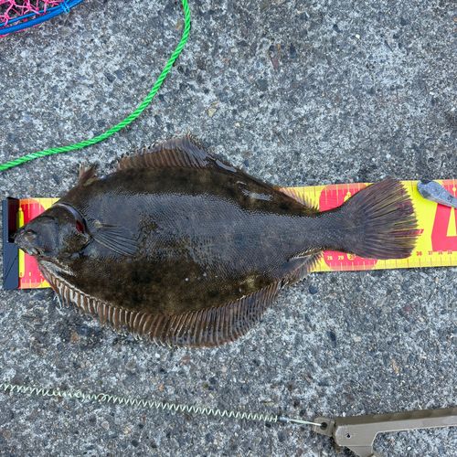 千葉港中央埠頭