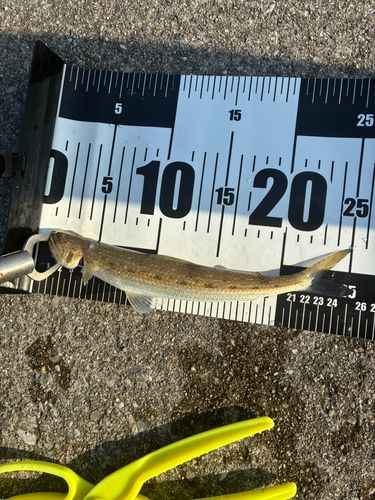 西原・与那原マリンパーク