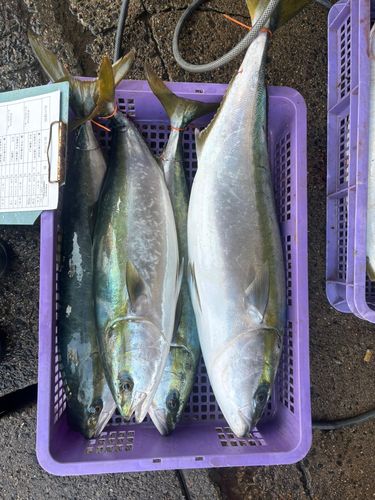 知多半島野池群