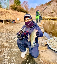 ラージマウスバスの釣果