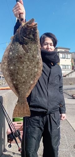 ヒラメの釣果