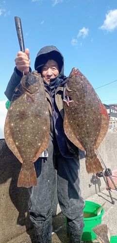 ヒラメの釣果