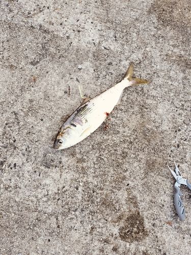 東部浄化センター（広島市）