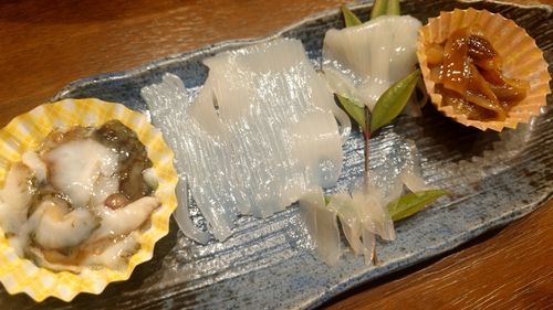 ヤリイカの釣果