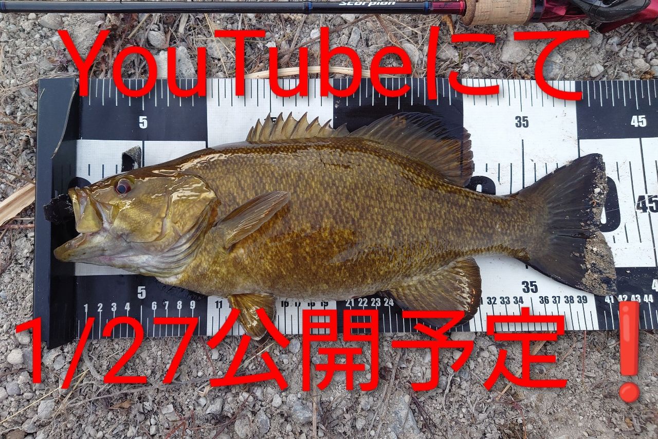 スモールマウスバス