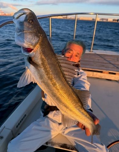 京浜運河（川崎）