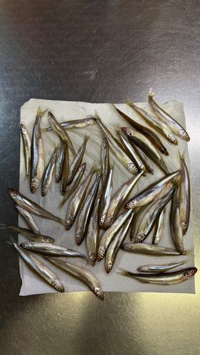 野尻湖（長野）