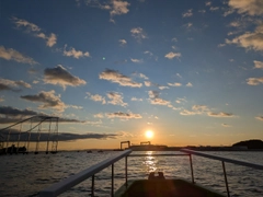ホウボウの釣果