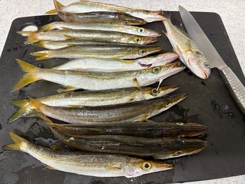 東京湾（アクアライン〜富津）