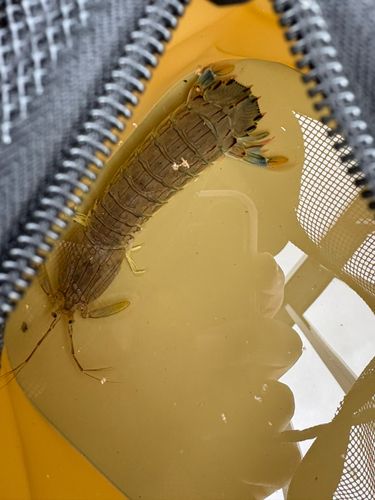 仙台港中央公園