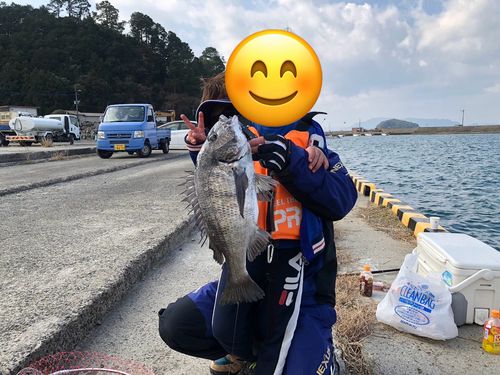 松ヶ崎漁港（葦北）