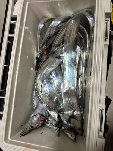 東京湾（アクアライン〜富津）