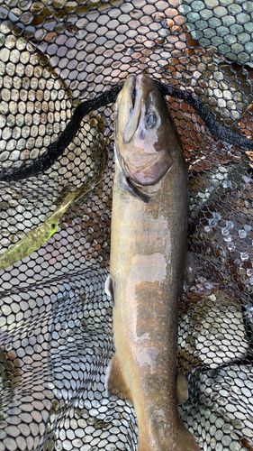 リヴァスポット早戸