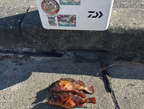 用宗広野海岸公園