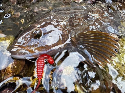 三陸海岸（岩手）