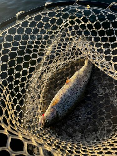 アルクスポンド焼津