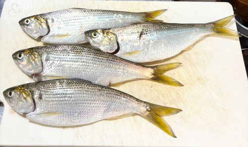 東京湾（アクアライン〜富津）