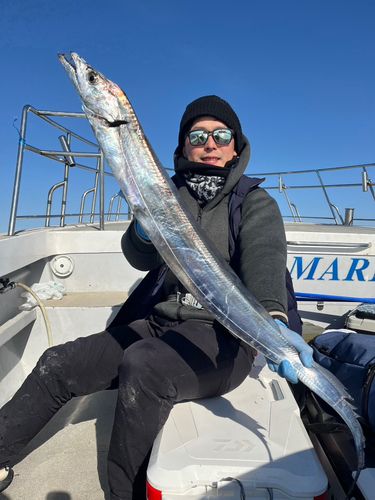 タチウオの釣果