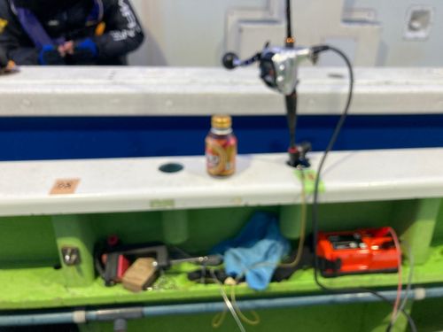 タチウオの釣果