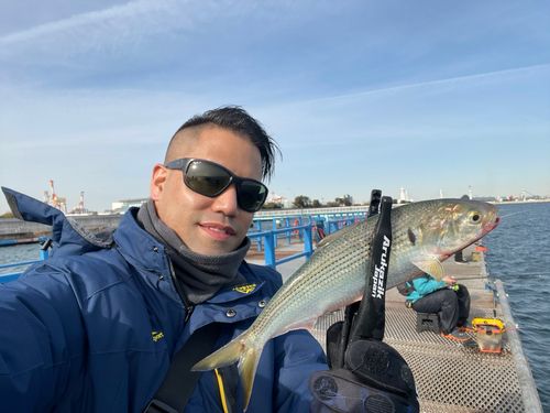 本牧海づり施設