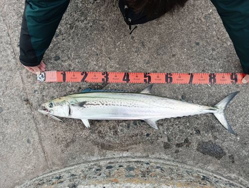 関門海峡（山口）