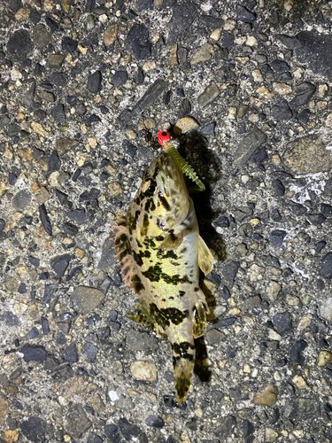 白子漁港（三重）