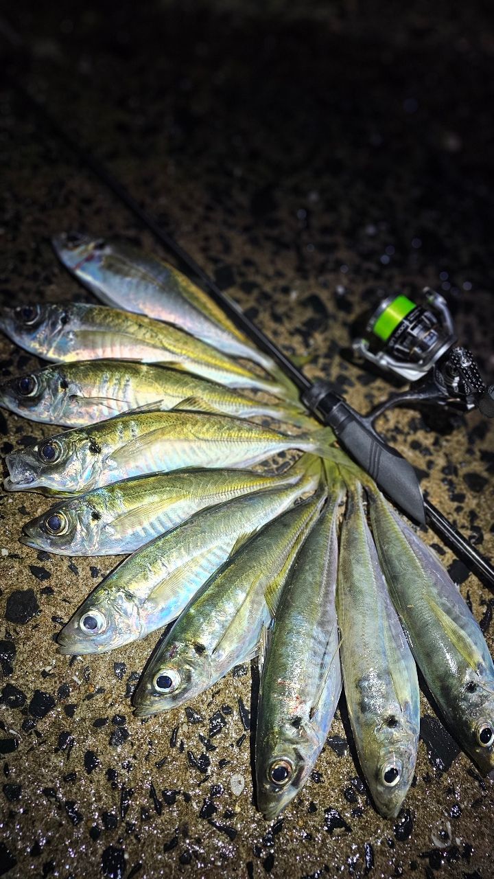 AbuGarcia ソルティーステージ プロトタイプ アジング XAJS-642ULSSの
