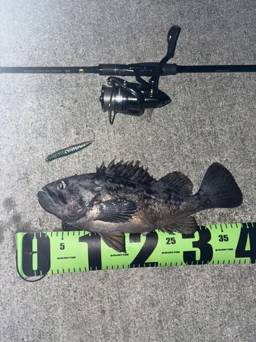 船越湾（岩手）