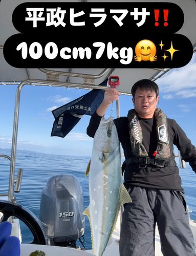 ヒラマサの釣果