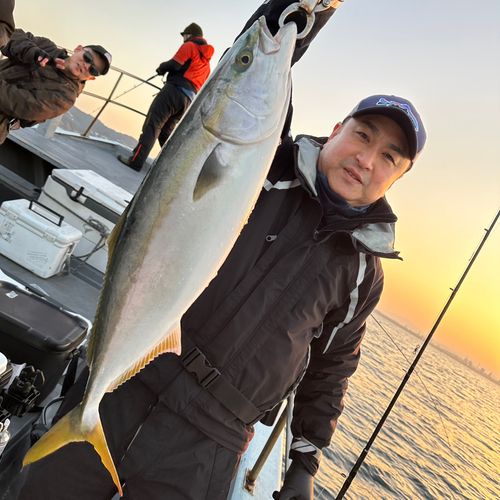 シロアマダイの釣果