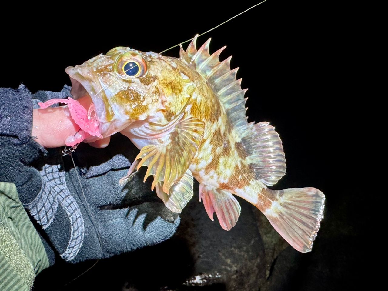 DAIWA 24スティーズ SV TW 100 100XHLの最安値・インプレ・釣果 | 本音