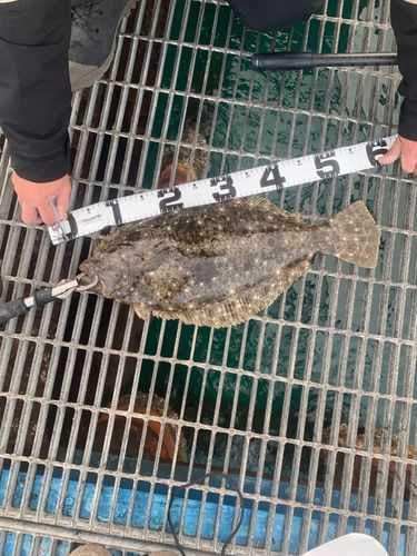 釣り公園シモツピアーランド