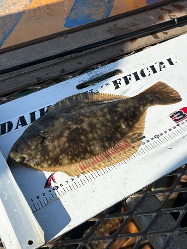 大黒海づり施設