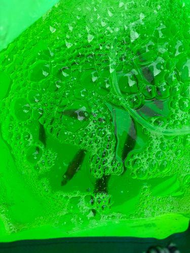 とっとパーク小島