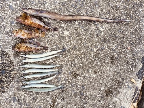 東部浄化センター（広島市）