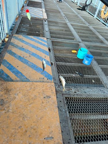 大黒海づり施設