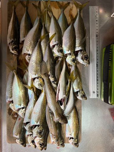 本牧海づり施設