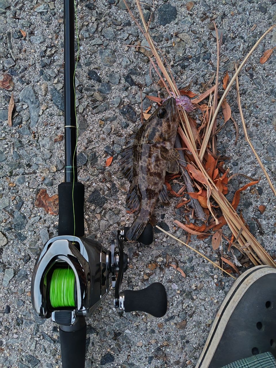 YAMAGA Blanks アーリー・フォーロック 93MH/Bの最安値・インプレ