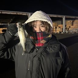 セイゴ（ヒラスズキ）