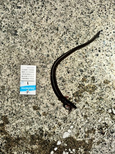 小名浜港市場前