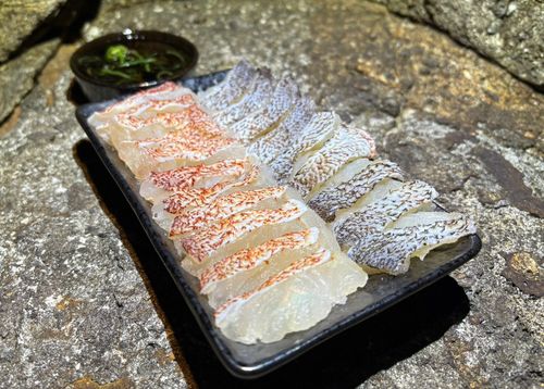 アカハタの釣果