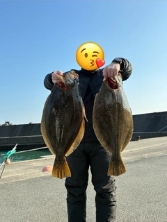 ヒラメの釣果