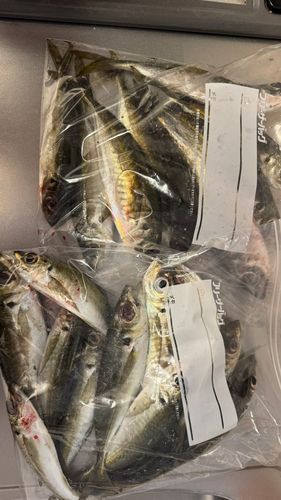 小名浜港アクアマリンふくしま周辺