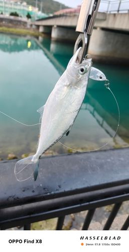 西原・与那原マリンパーク