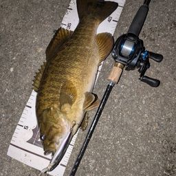 スモールマウスバス