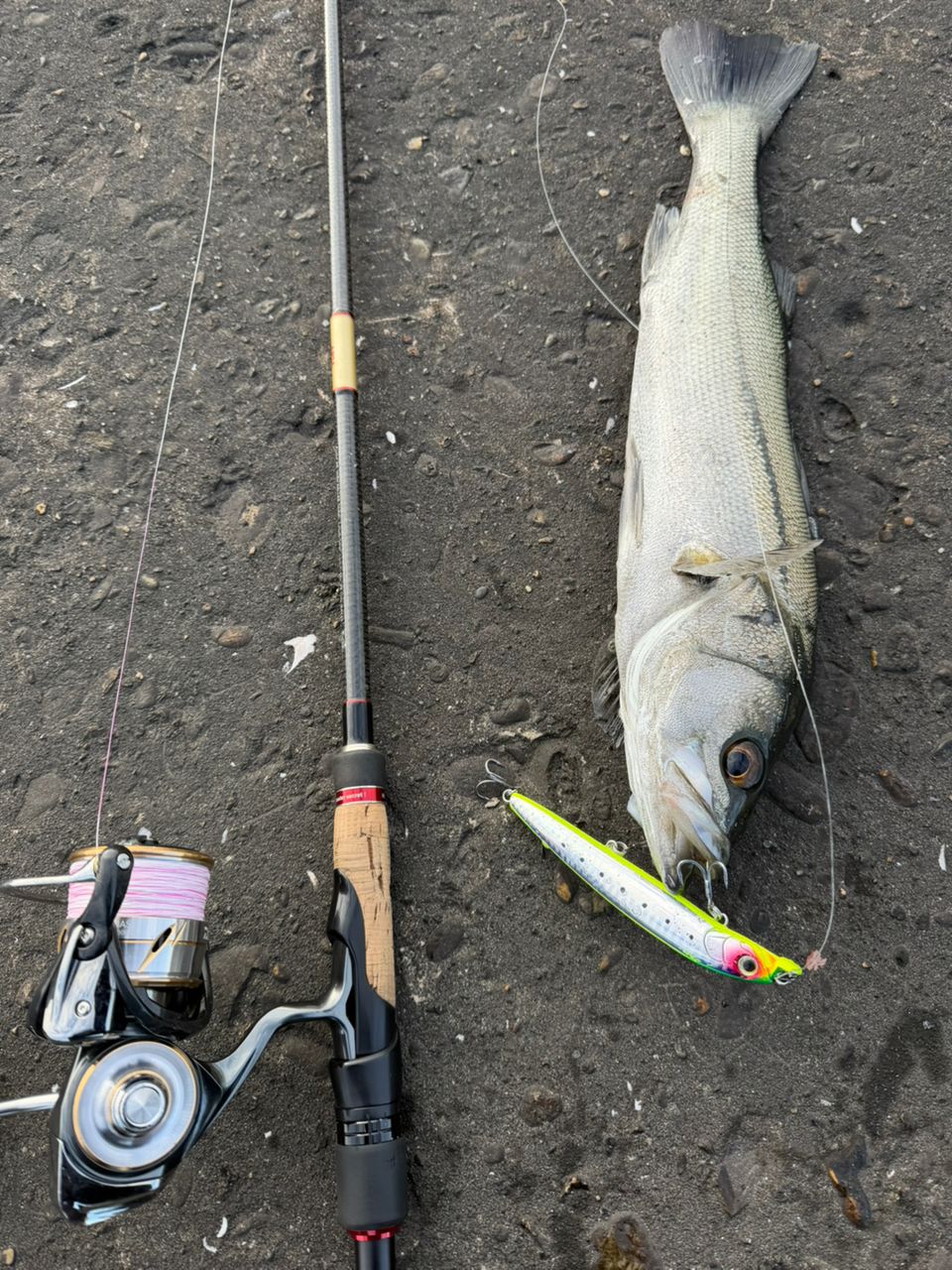 APIA フージン' AD HIGH ROLLER 104MLの最安値・インプレ・釣果