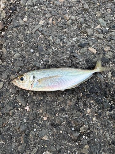 関門海峡（山口）