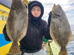 ヒラメの釣果