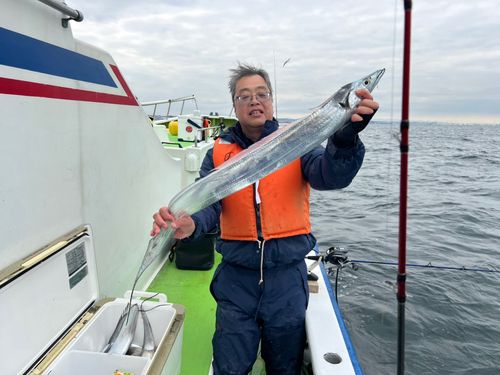 タチウオの釣果