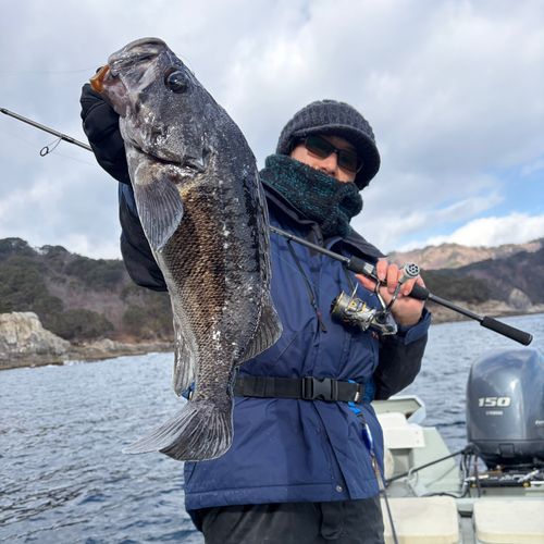 船越湾（岩手）